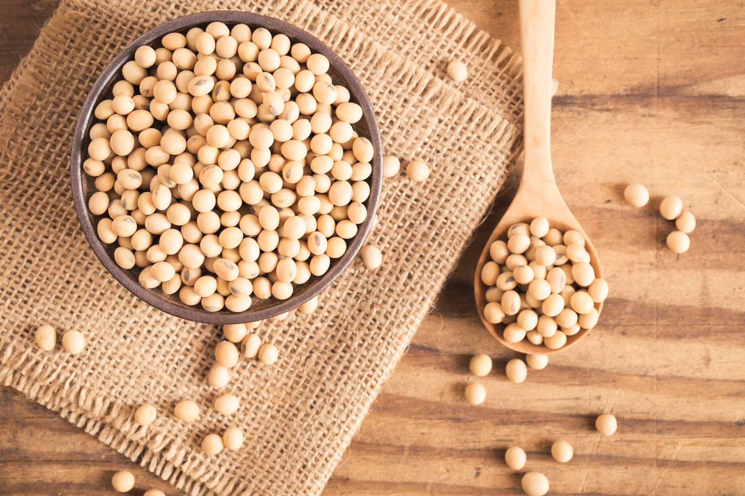 Insoya: Unlocking the Health Benefits and Nutritional Power